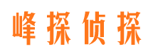 宿松找人公司